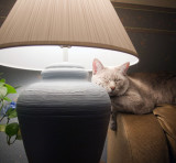 Sure wish mom would turn on the heat!