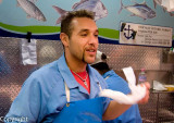 Fishmonger, Queen Vic Market