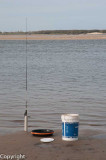 Waiting for Godot, Cotton Tree Beach