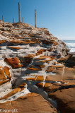 Pincushion Island, North Shore, Maroochydore