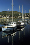 Yachts at anchor, Campbeltown