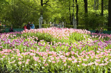 The Summer Garden