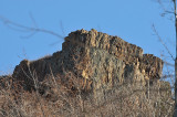 Mount Tom 20110220_16 Escarpment 2011.JPG