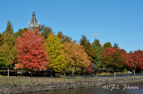 20111025_07 Canal FoliageB.JPG