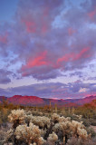 AZ - Four Peaks Wilderness - Sunset Colors 2