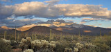 Four Peaks Wilderness Late Light 1