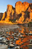 Salt River Reflection 3