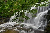 NY - Cascadilla Gorge - Waterfall 3.jpg