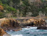 Pt Lobos SP - Rocky Shoreline