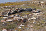 Copper Inut Archaeological Site - Copper Inut Archeologische Vindplaats