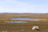 Tundra with lakes - Toendra met meren