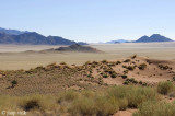 Desert - Woestijn