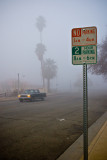 January 18th Alt -