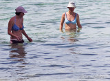 IMG_9629.jpg