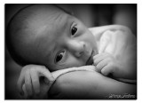 IMG_2316.jpg