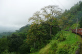 Scenery between Colombo and Kandy