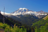 Mt Rainier Nat Park Washington