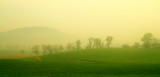 A Golden Morning