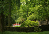 The Japanese Garden at Glen Burnie