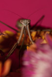 CRW_3107.jpg