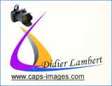Logo Photos D LAMBERT 2011 CADRE.jpg