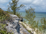 Horatio Nelson Lookout Point