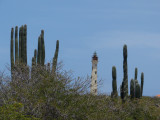 The California Lighthouse