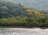 Sailing through the Golfo Dulce