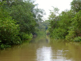The Tarcoles River