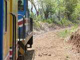 Riding the rails