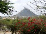 The view from the church