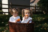 Twins in a basket
