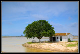 Caseta en el arrozal  -  Farmers hut on the rice paddy