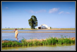 Casa en los arrozales  -  Farm on the rice paddy