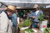 Look for Ricks fresh arugula...