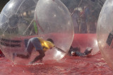 Watch the fun begin as the balls are rolled into a shallow pool of water!