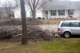 Storm Debris in Front of David & Beckys House