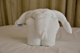 20111207 - Oasis of the Seas - 489 .jpg