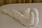 20111209 - Oasis of the Seas - 743 .jpg