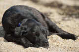 20120527 - Stump Cove Beach - 079.jpg