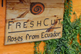 ABD Ecuador and Galapagos [Web Files] - 069.JPG