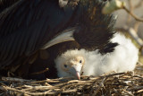 ABD Ecuador and Galapagos [Web Files] - 262.JPG