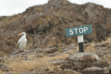ABD Ecuador and Galapagos [Web Files] - 278.JPG