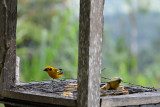 ABD Ecuador and Galapagos [Web Files] - 402.JPG