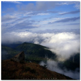 Tai Mo Shan - 大帽山