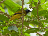 IMG_7052-1000x750.jpg
