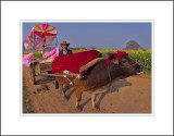 <font size=3><i>A Cow-Cart and Its Owner