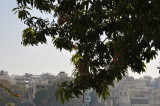 DSC_0499.jpg