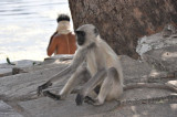 DSC_0506.jpg