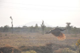 DSC_1056.jpg